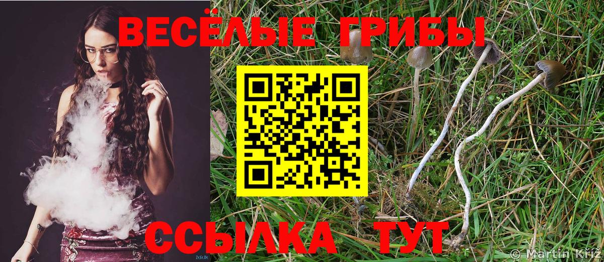 Галлюциногенные грибы Psilocybine cubensis  Вход с VPN  Галлюциногенные грибы MAGIC MUSHROOMS  цена наркотик  Видное 